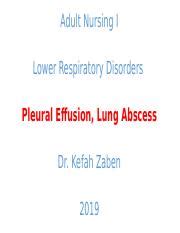 abscess plural